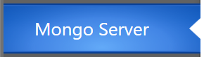 1. Mongo Server tab