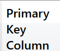 18. Primary Key column