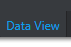 3. Data View tab