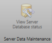 12. Ribbon ToolBar Server Status button