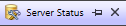 2. Server Status Document tab